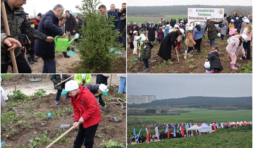 Bursa’da binlerce fidan toprakla buluştu