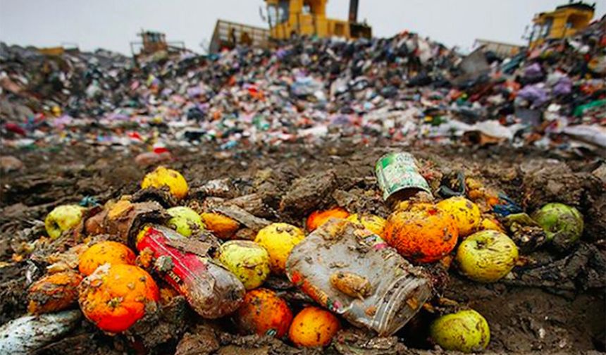 Dünya genelinde gıda israfı artıyor: Üretilen gıdanın üçte biri çöpe gidiyor