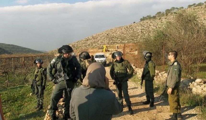 Siyonist rejim Filistin topraklarını işgal ediyor: Yüzlerce dönüm araziye daha el konuldu