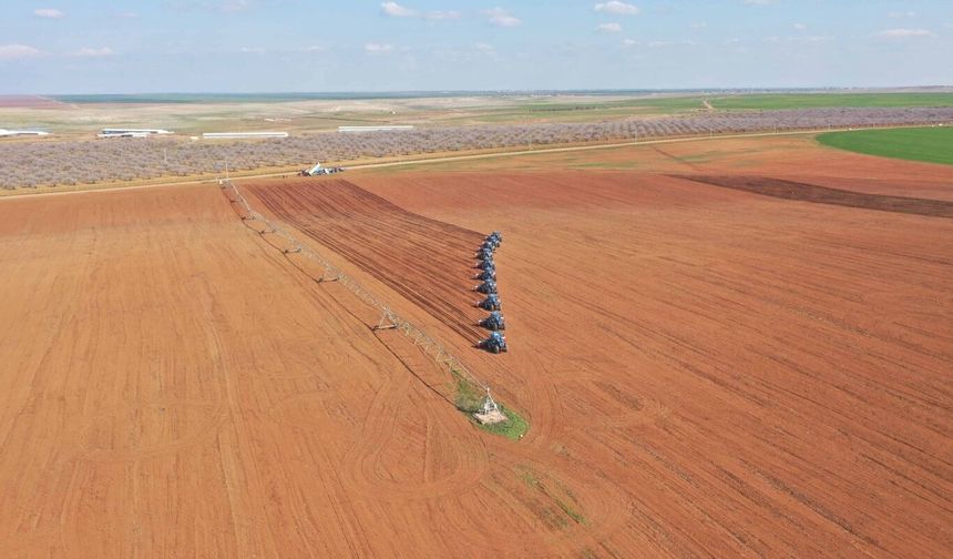 TİGEM Ceylanpınar’da 1'inci ürün dane mısır ekilişlerini tamamladı