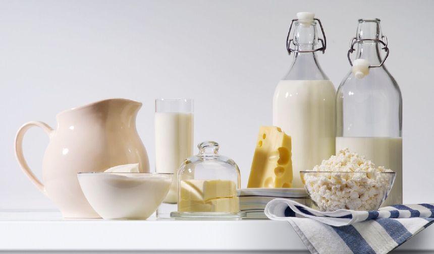 Türkiye'den Güney Afrika'ya süt ve süt ürünleri ihracatının önü açıldı