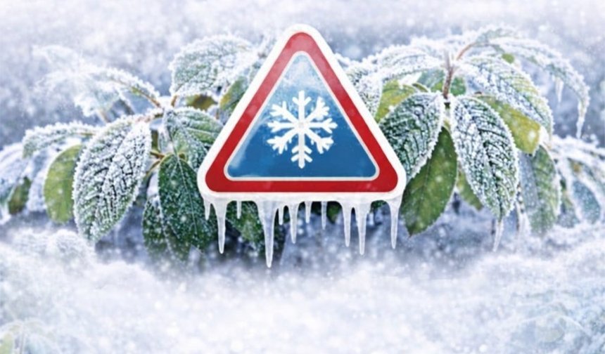 Bursa için 4 günlük zirai don uyarısı