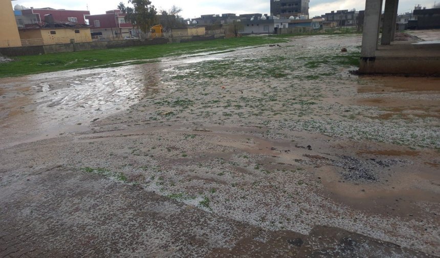 Mardin'de etkili olan dolu yağışı tarım arazilerine zarar verdi
