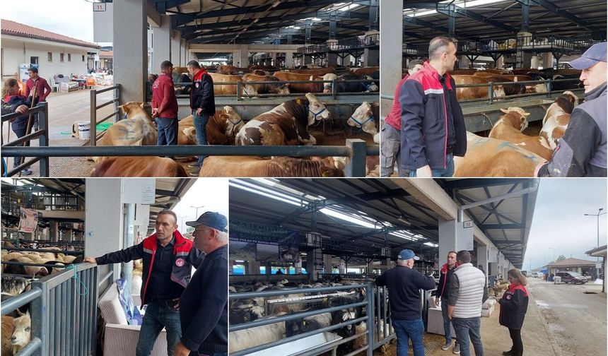 Bursa'da kurbanlık hayvanlara yönelik kapsamlı denetim