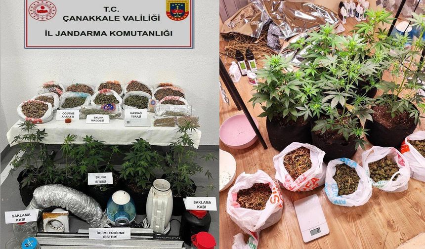 Çanakkale'de skunk operasyonu: 2 şüpheli gözaltında
