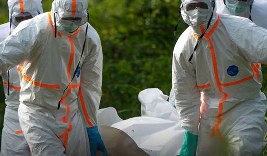 Kongo Demokratik Cumhuriyeti'nde Ebola salgını: 65 ölüm, 246 vaka