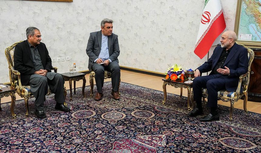 Pakistan İçişleri Bakanı Naqvi Tahran'da temaslarda bulundu