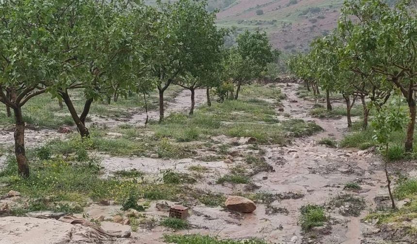 Siirt'te dolu yağışı tarım alanlarında zarara yol açtı
