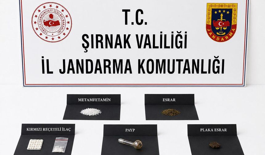 Şırnak'ta asayiş ve narkotik operasyonları: 153 gözaltı
