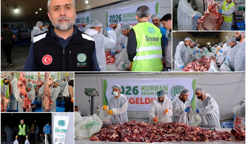 Umut Kervanı'ndan Van'da kurban organizasyonu: Yüzlerce aileye kırmızı et ulaştırılacak