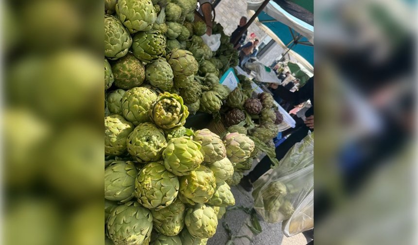 Urla'da 12. Enginar Festivali yoğun katılımla başladı