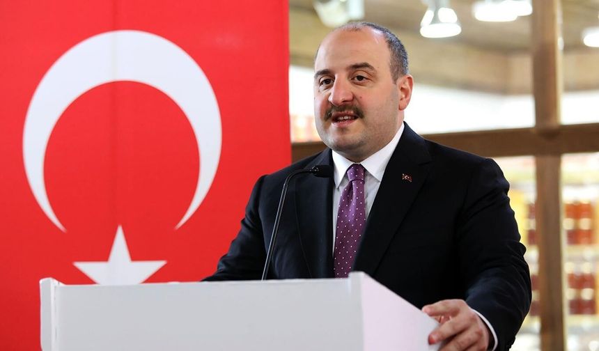 Varank: 'Enerji arz güvenliği milli zorunluluk'