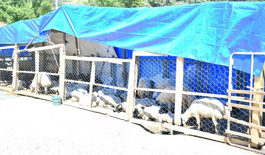 Yeşilyurt Belediyesinden kurban satış ve kesim yerlerinde bayram mesaisi