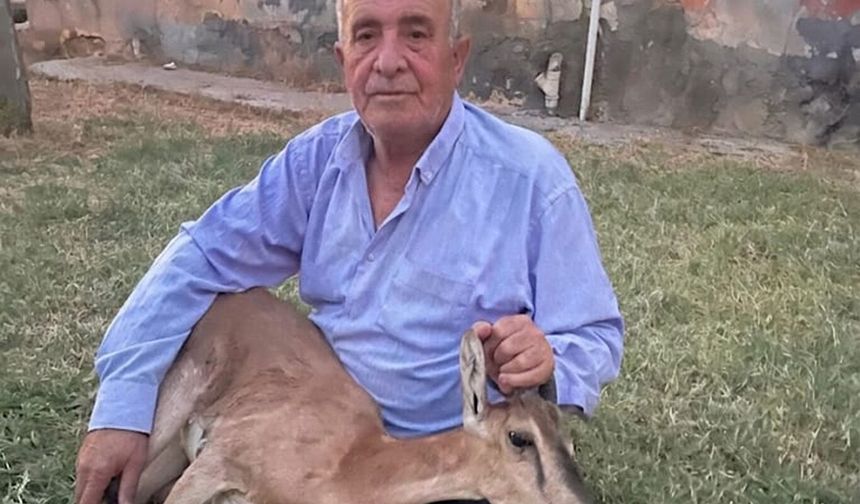 Batman'da 50 yıl sonra görülen dağ keçisi koruma altına alındı