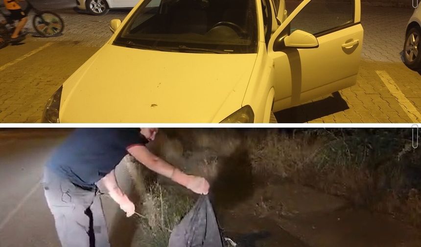Batman'da araca giren yılan yakalanarak doğaya salındı