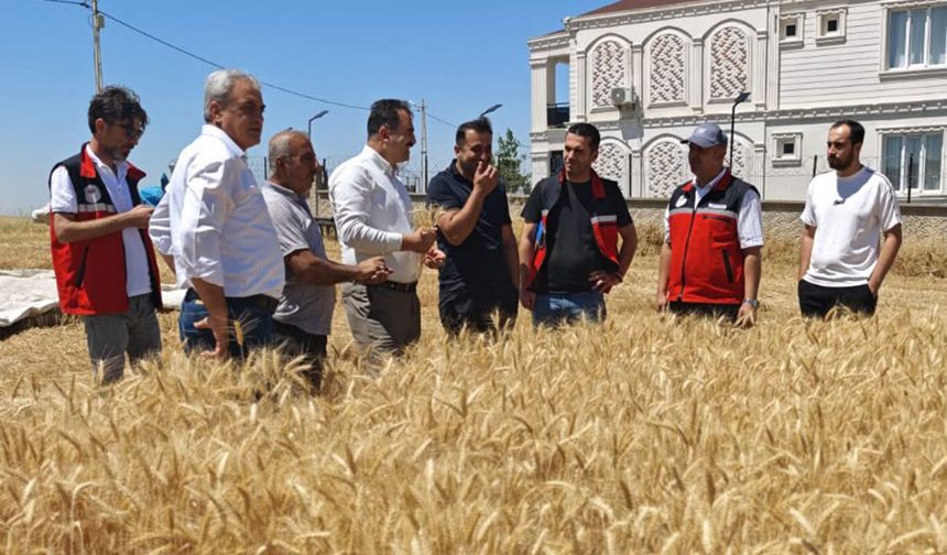 Batman'da hasat döneminde anız yangınlarına karşı denetimler sürüyor