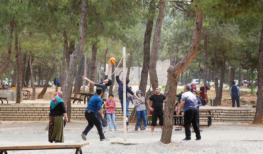 Canözer: Piknik alanlarında küçük ihmaller büyük felaketlere dönüşüyor