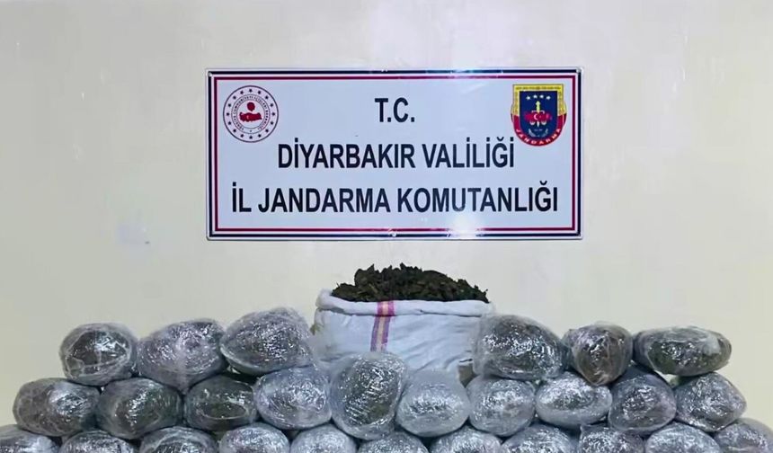 Diyarbakır'da 1 milyon 755 bin kök kenevir ve skunk ele geçirildi