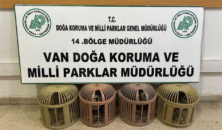 Van'da yasa dışı avlanan kişiye 51 bin TL ceza uygulandı