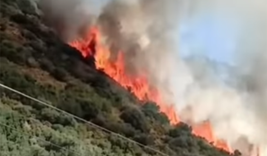 Antalya'da orman yangını