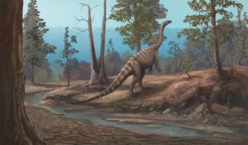 Araştırmacılar Zimbabve'de yeni bir dinozor türü keşfetti
