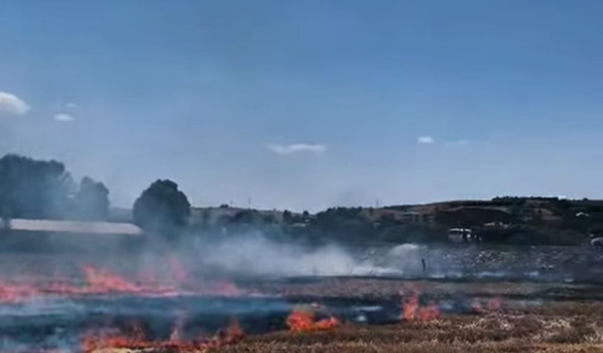 Bingöl'de iki ayrı yangın: İtfaiye ekipleri müdahale etti