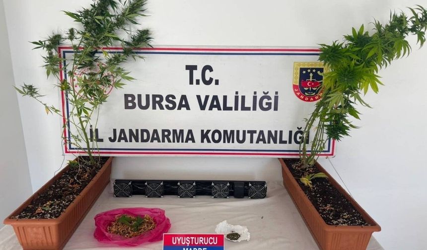 Bursa'da uyuşturucu operasyonu: 3 gözaltı