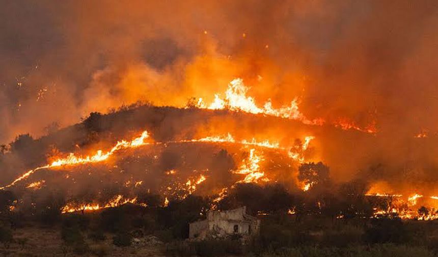 İspanya'da orman yangını: 6 bin 600 hektar kül oldu, 12 kişi öldü