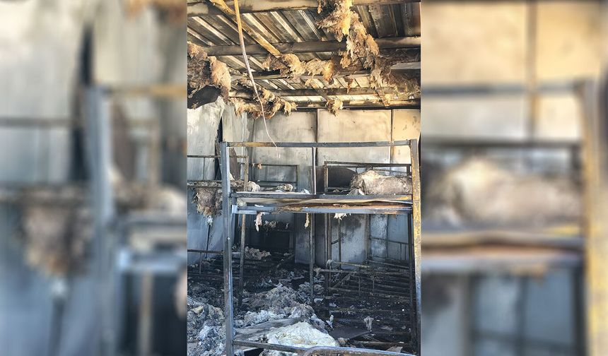 Malatya'da şantiyede işçilerin kaldığı konteyner yatakhanede yangın