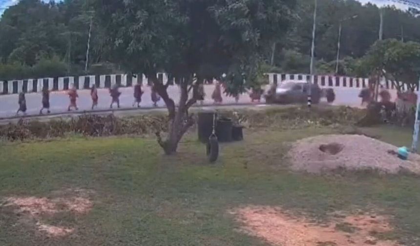 Tayland'da 9 budist keşişi ezen sürücünün 11 yaşında olduğu bildirildi