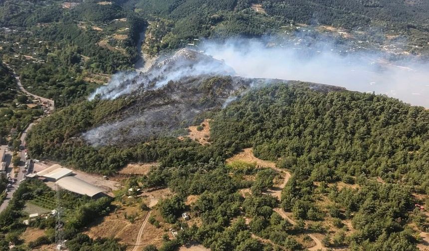 Bursa'da 3 ayrı noktada çıkan orman yangınları kontrol altına alındı