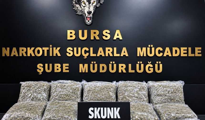 Bursa'da uyuşturucu operasyonu: 45 kilo esrar ele geçirildi