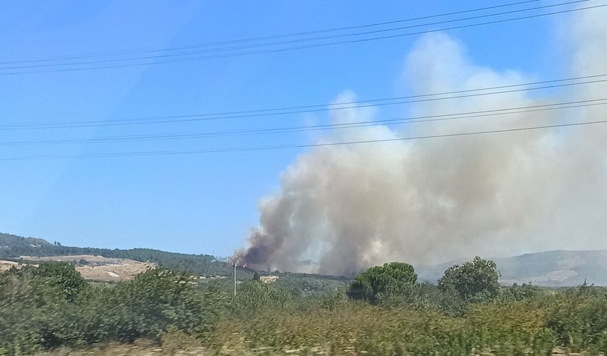 Çanakkale Lapseki'de yangın