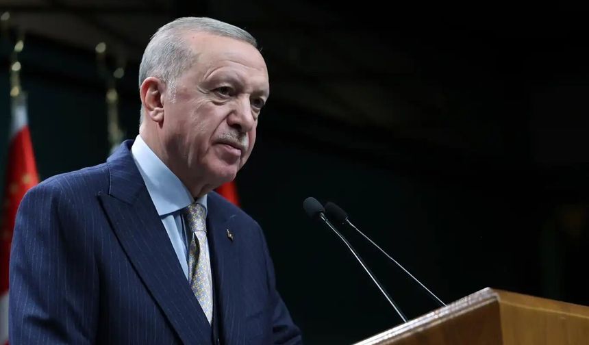 Cumhurbaşkanı Erdoğan, Litvanya Başbakanı Sinkevicius ile görüştü