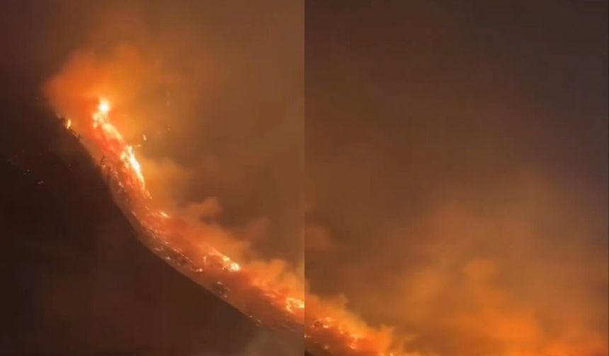 Endonezya'da Bromo Milli Parkı'nda orman yangınları büyüyor