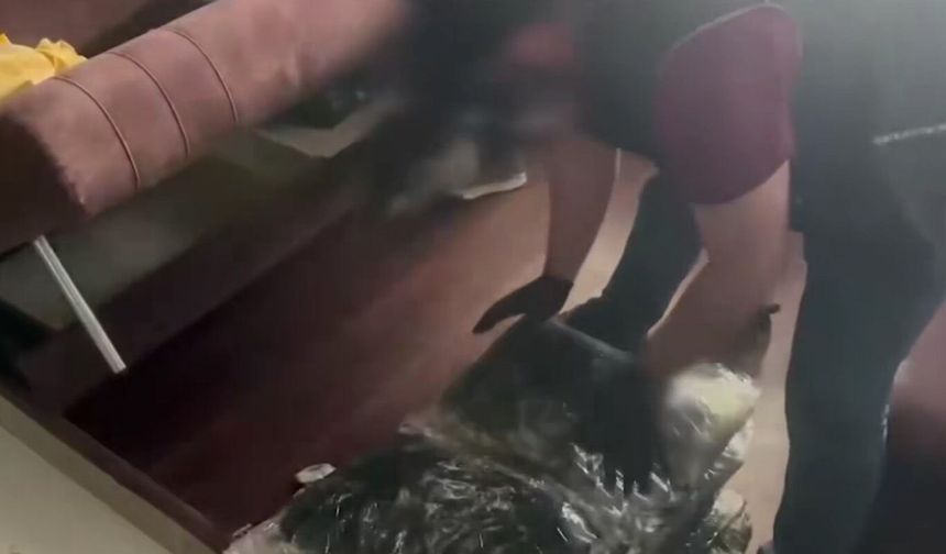 İstanbul Ataşehir'de 44 kilo skunk ele geçirildi