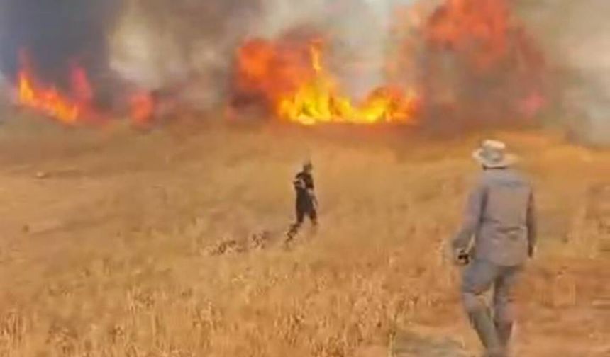 Malatya'da arazi örtü yangını