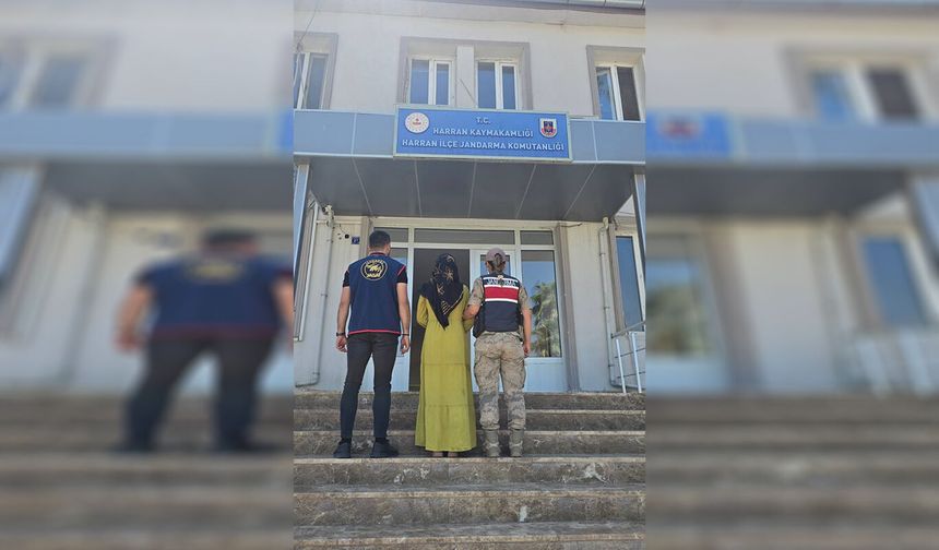Şanlıurfa'da 10 yıl kesinleşmiş hapis cezası bulunan firari yakalandı
