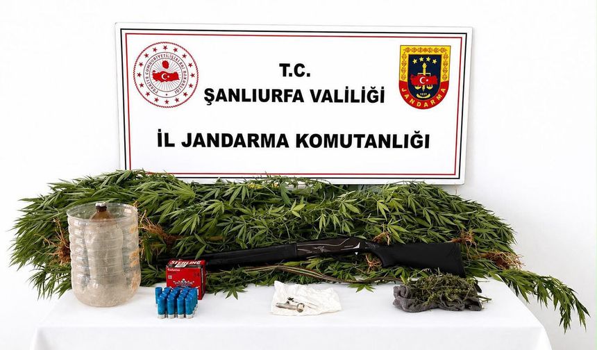 Şanlıurfa'da uyuşturucu ele geçirildi