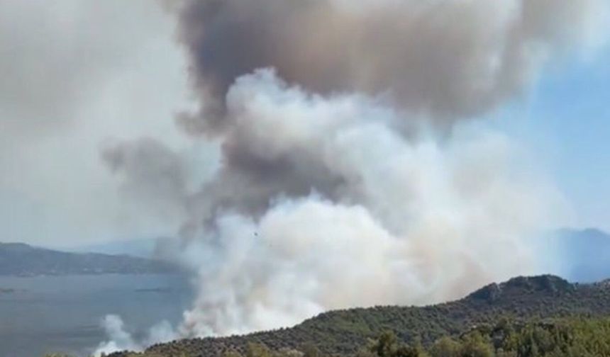 Yunanistan'da orman yangını: 2 ölü