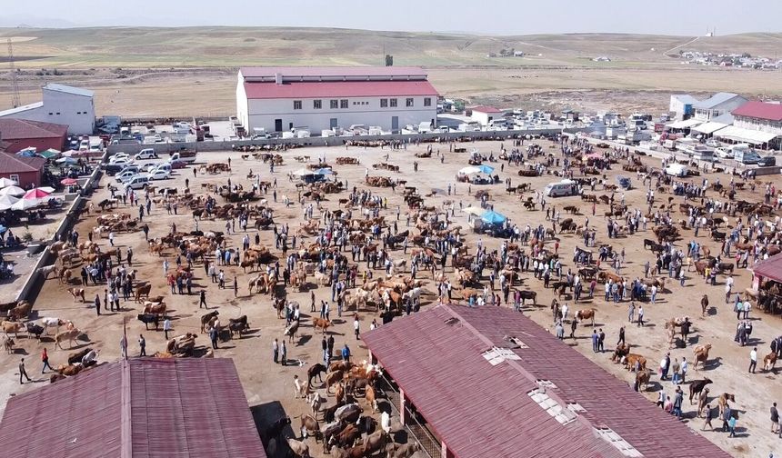 Ağrı'da Şap Hastalığı tedbiri nedeni ile Hayvan Borsası bir aylığına kapatıldı