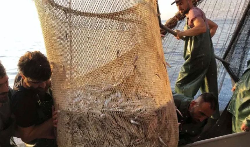 İzmir'de balık sezonu bereketli başladı: Tezgâhlarda fiyatlar geriledi