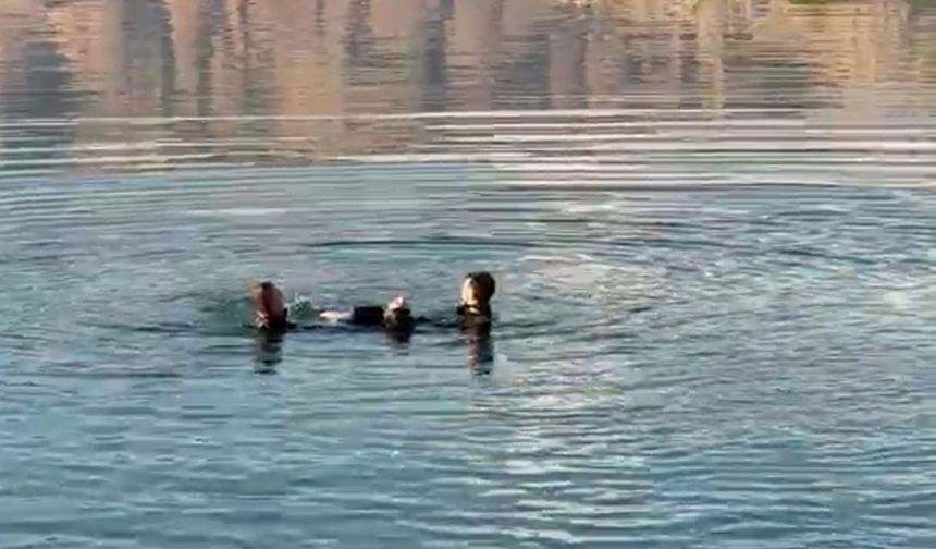 Malatya'da barajda erkek cesedi bulundu