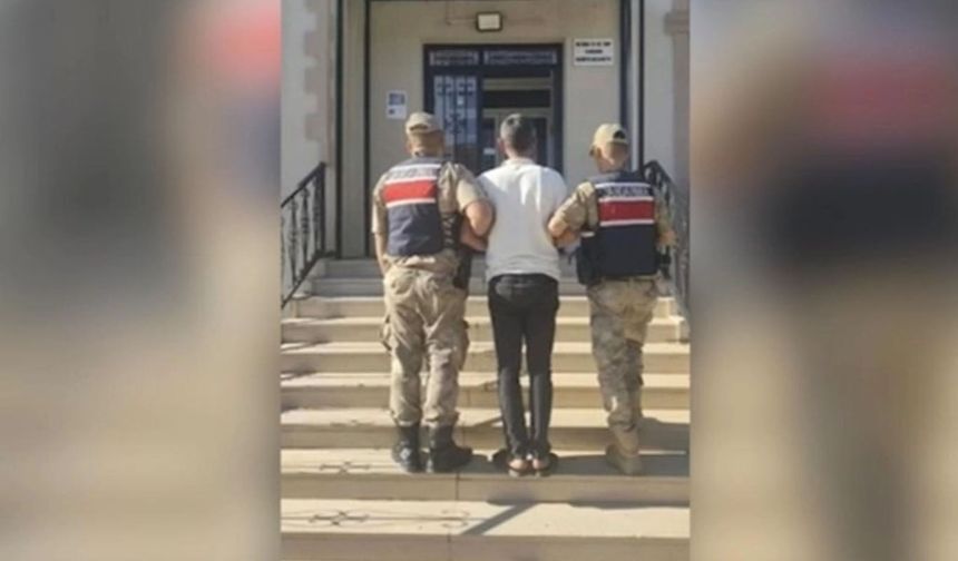 Şanlıurfa'da bağ evinden hırsızlık şüphelisi tutuklandı
