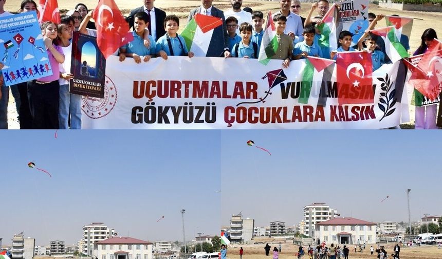 Siirt'te gökyüzüne barış mesajı: Uçurtmalar Gazze'deki çocuklar için uçuruldu