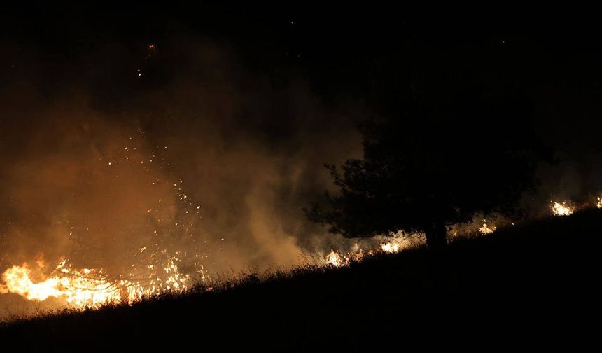 Bursa'da orman yangını