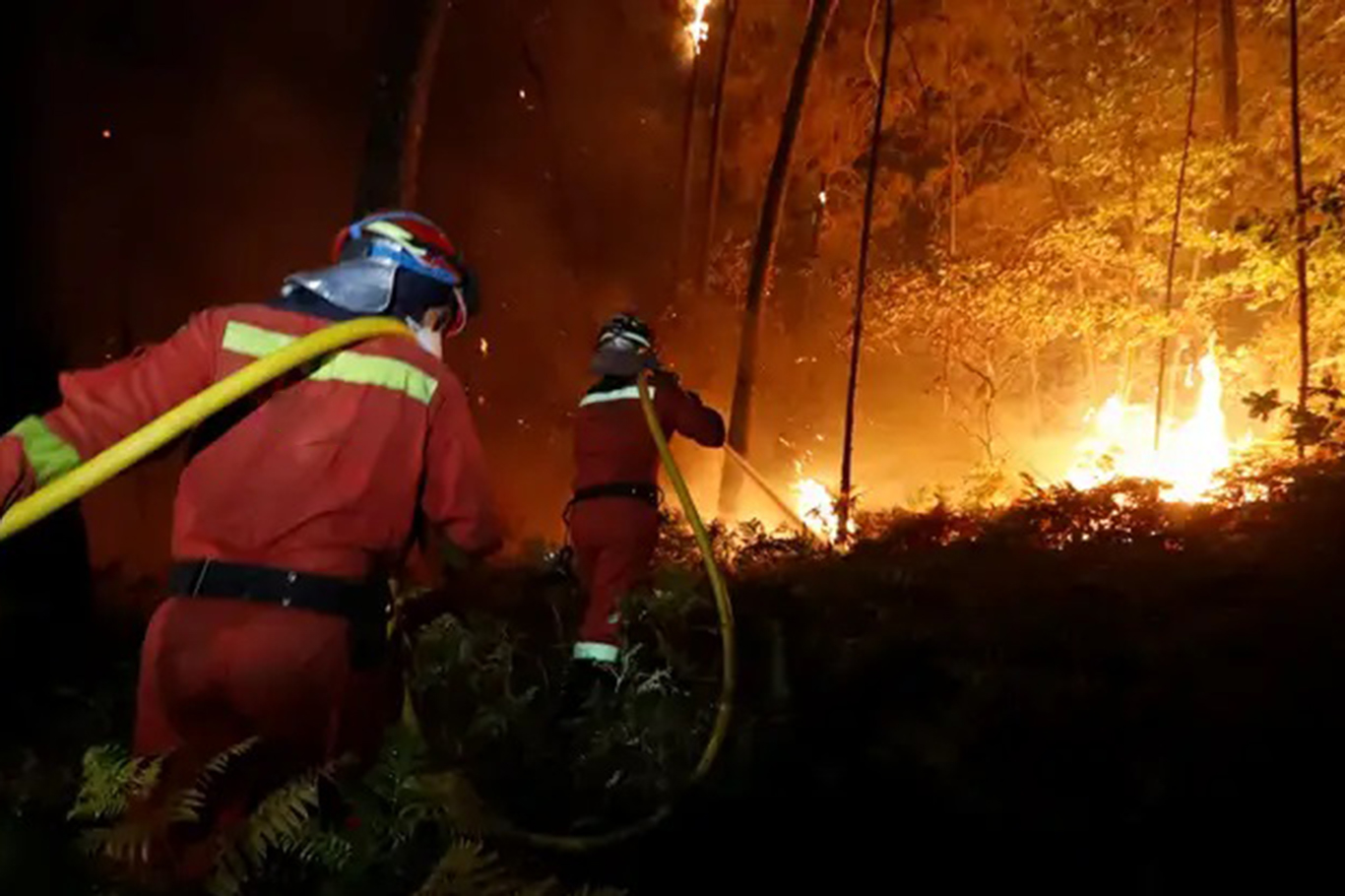Güney Kore'de orman yangınları nedeniyle ulusal seferberlik ilan edildi 