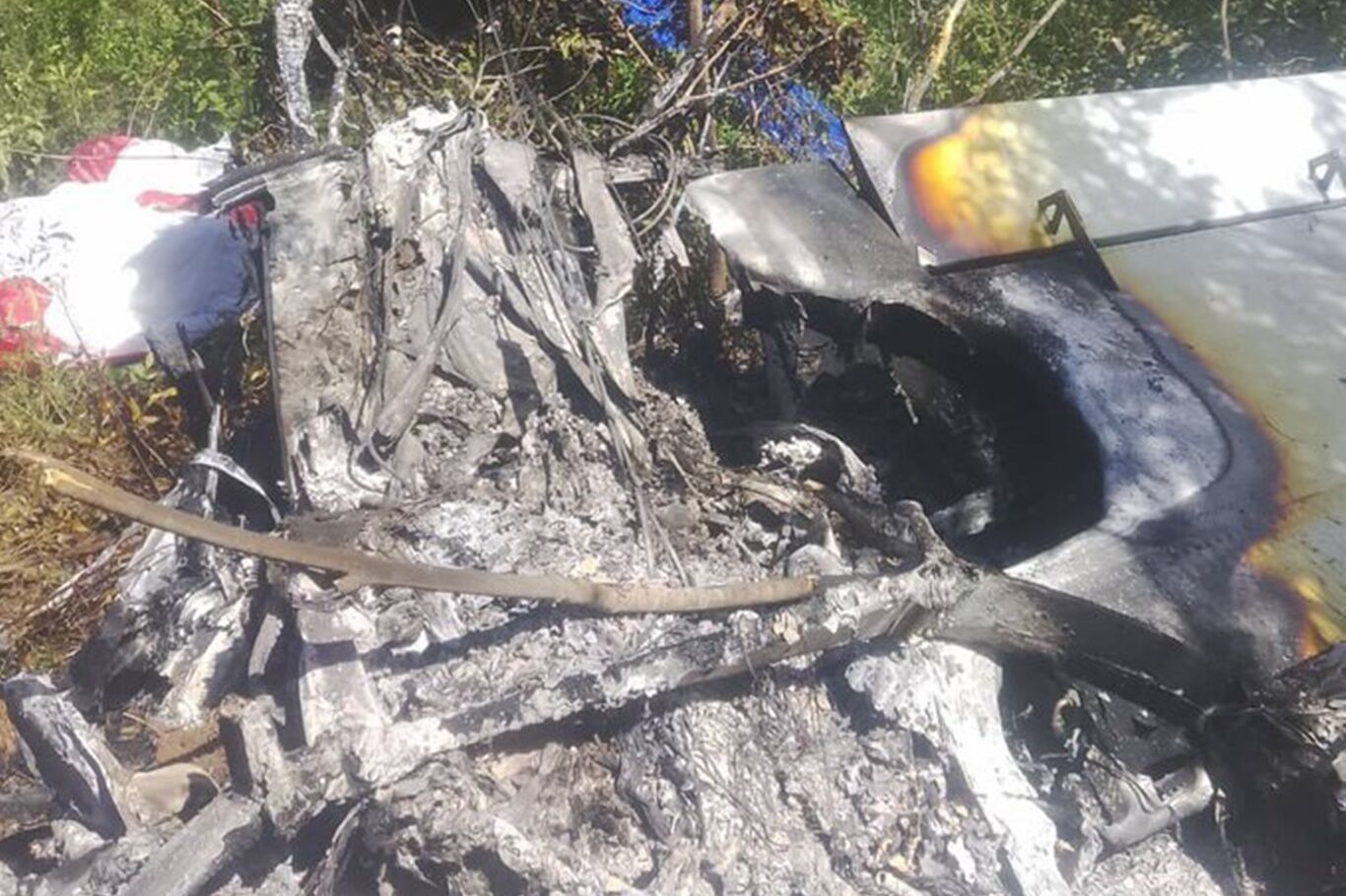 Zimbabve'de uçak düştü: Bir ölü bir yaralı