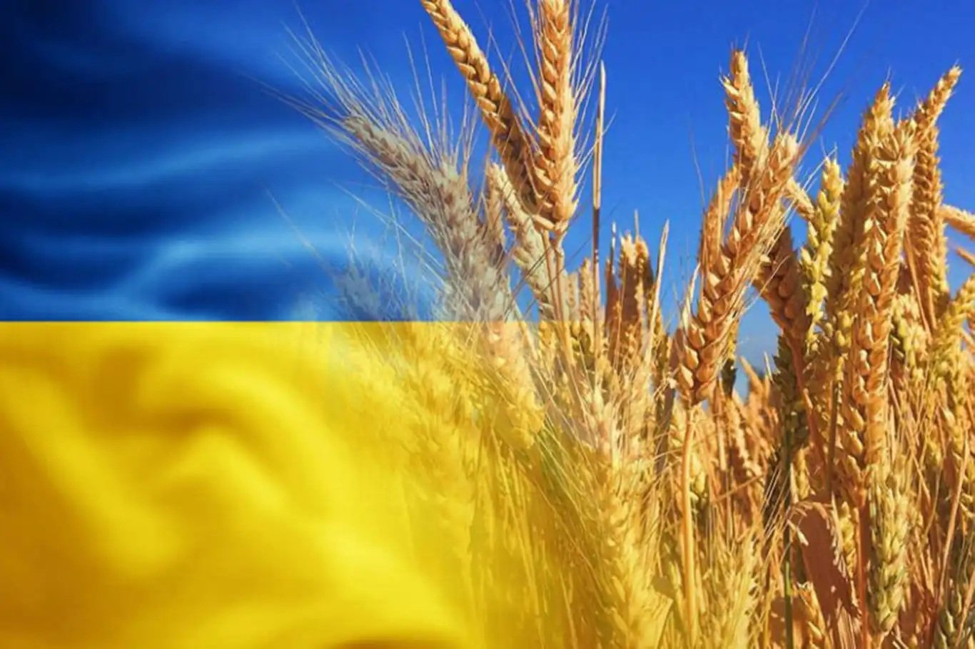 Çernobil'in yasaklı bölgesinde tarım skandalı