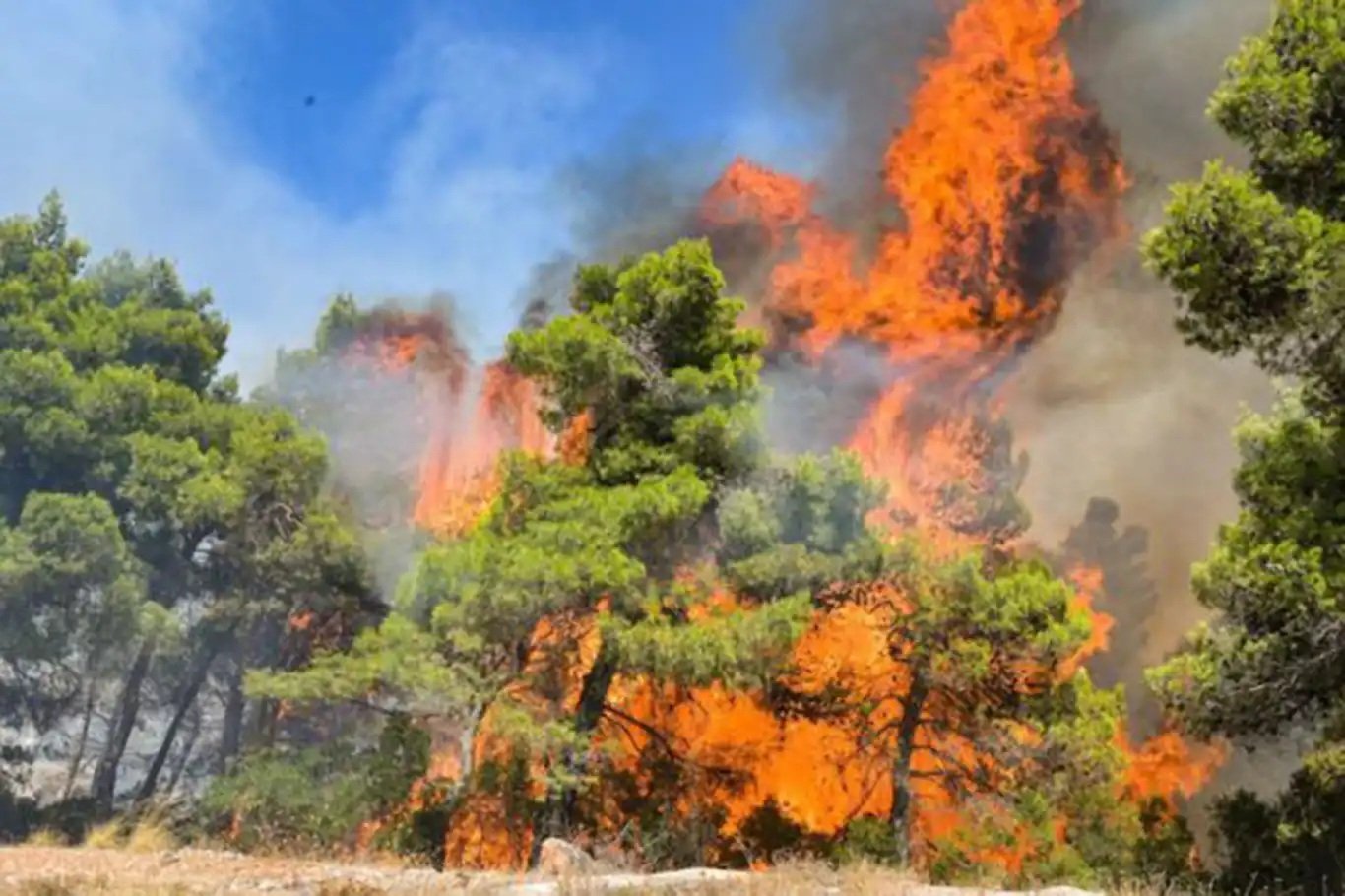 Çiftçi ve Yumaklı'dan orman yangınları için koordinasyon toplantısı
